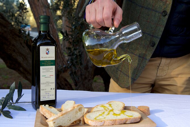 Private Food and Wine Tour in the Cellar With Tastings - Guided Wine Tasting