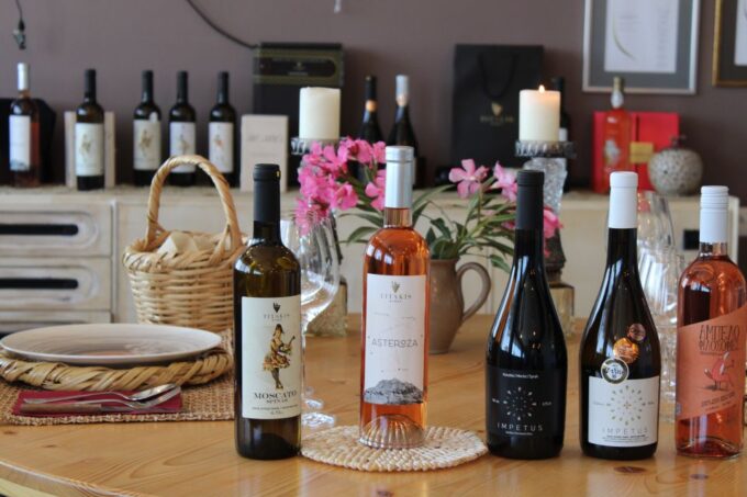 Private Food and Wine Tour With Minivan - Guided Tour of Vineyards