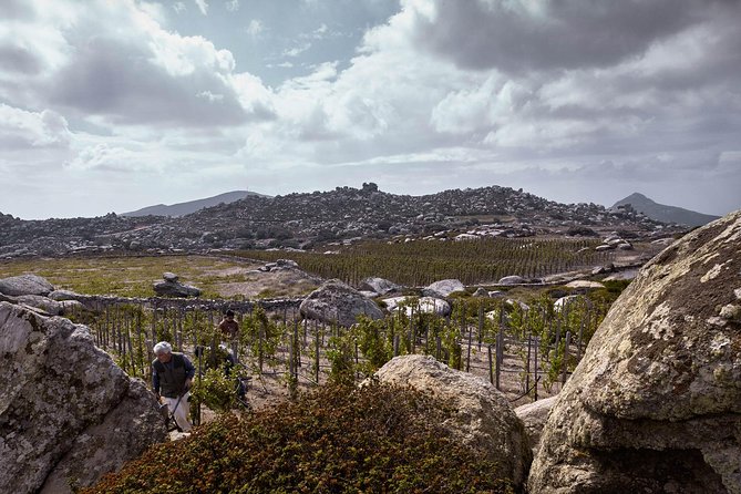 Private Food Tour & Wine Tasting in Tinos Island With a Local - Starters