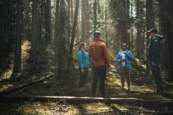 Private Forest Bathing Experience Connect with Nature - Exploring the Calm of Banff with a Private Forest Bathing Experience