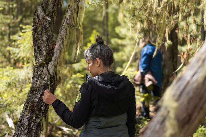 Private Forest Bathing in Serene Whistler Forests - Tour Operator and Pricing Details