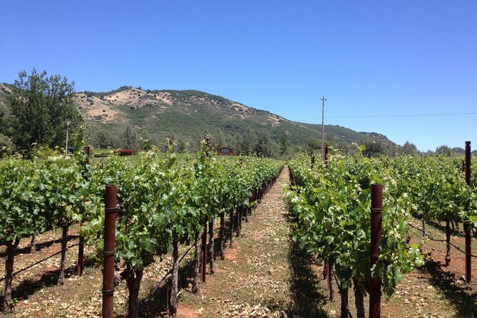 Private Fredericksburg Winery Transfer - Customer Reviews and Ratings