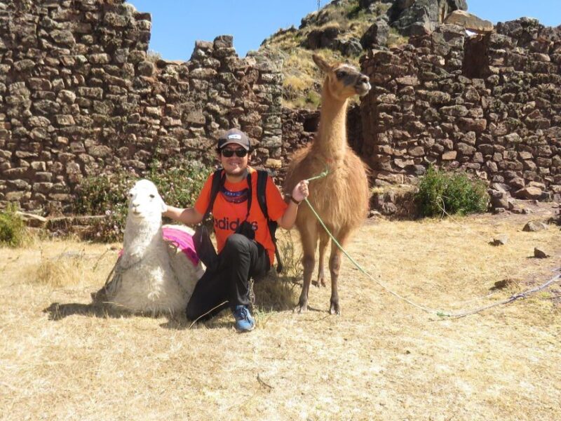Private From Cusco| Alpaca Therapy + Creative Craftsmanship - Creative Craftsmanship
