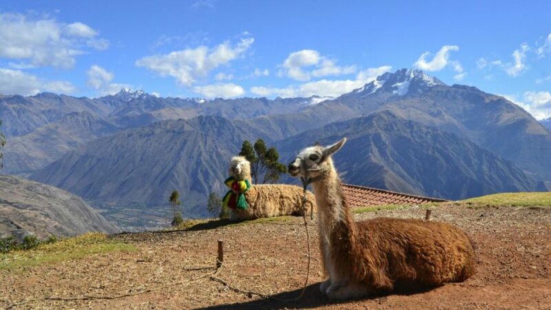 Private From Cusco| Alpaca Therapy + Creative Craftsmanship - Itinerary
