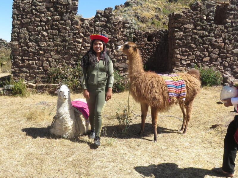 Private From Cusco| Alpaca Therapy + Creative Craftsmanship - Connection With Mother Earth