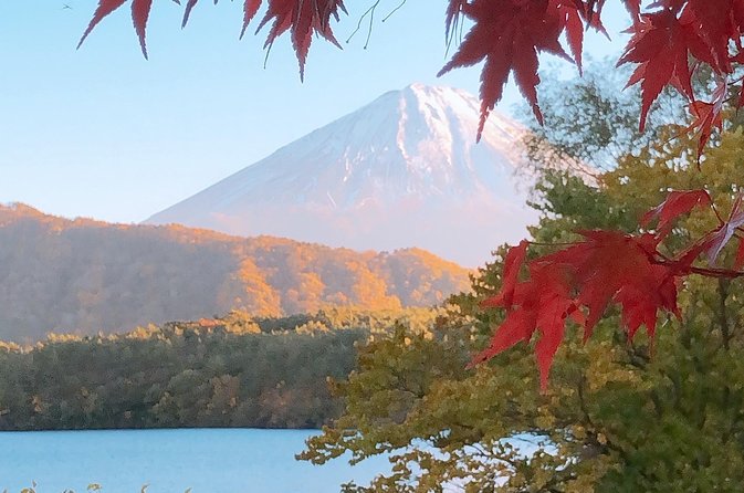 Private Fuji Exploration With Photography ENGLISH SPEAKING - Cancellation Policy