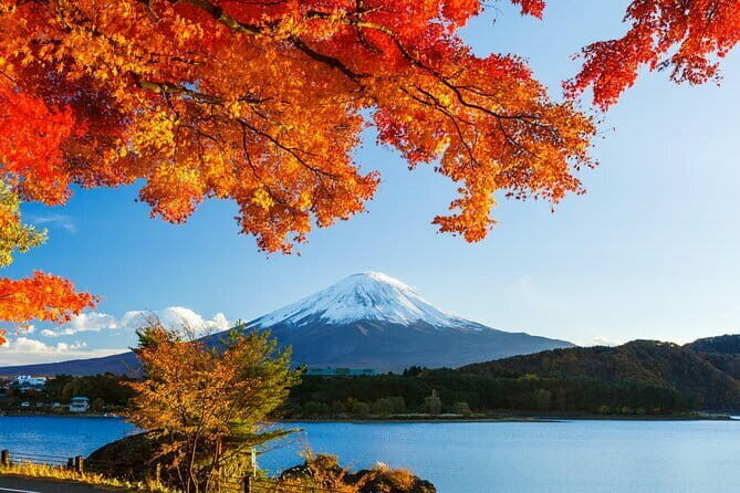 Private Fuji Full-day Car Tour with Hotel Pickup -Local Guide - The Sum Up
