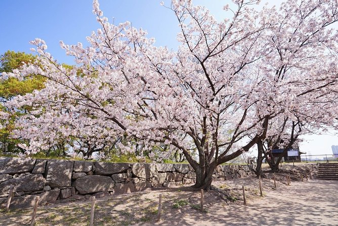 Private Fukuoka Tour With a Local, Highlights & Hidden Gems 100% Personalised - Hotel Meet-up Availability
