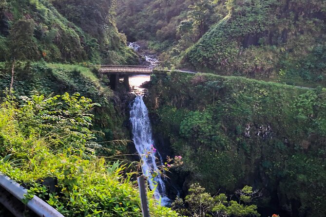 PRIVATE Full Circle Reverse - Luxury Road to Hana Tour From South Maui - Pickup Information