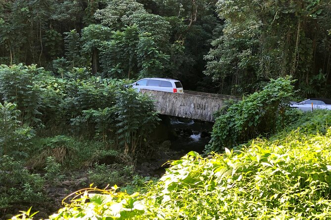 PRIVATE Full Circle Reverse - Luxury Road to Hana Tour From South Maui - Explore the Road to Hana