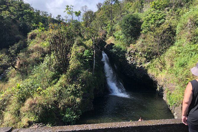 PRIVATE Full Circle Reverse - Luxury Road to Hana Tour From South Maui - Experience Mauis Flora and Fauna