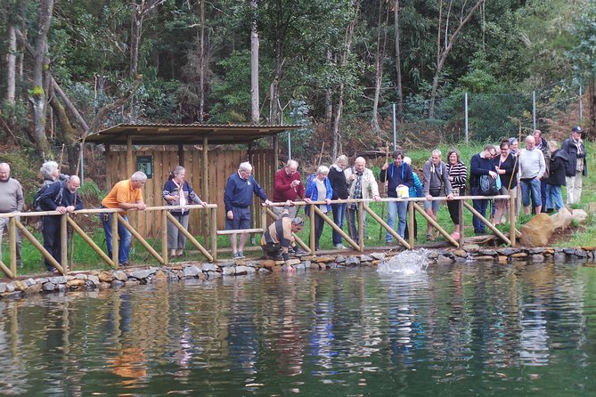 Private Full Day 4X4 Experience: East or West - Tour Booking and Availability