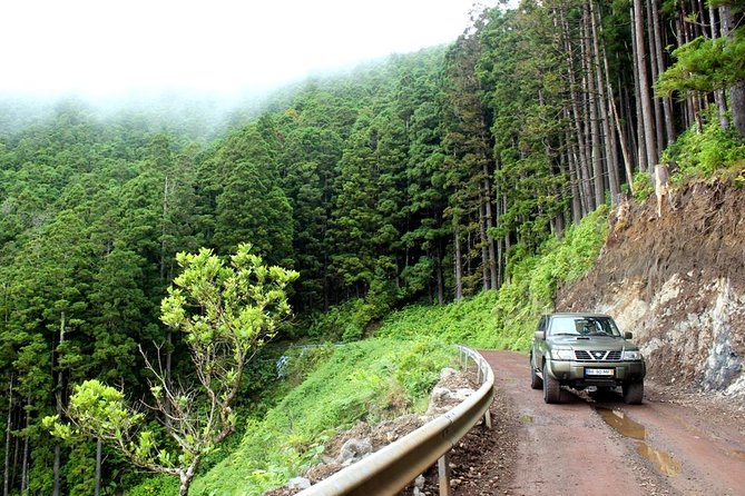 Private Full-Day 4x4 Tour to Nordeste & Povoaçao - Highlights of the Tour