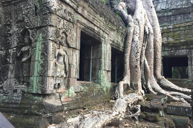 Private Full Day Angkor Small Tour by Lexus - Participation Eligibility