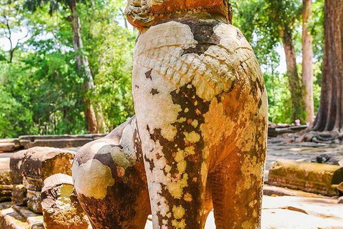Private Full-Day Angkor Temple and Sunset Viewing With Lunch - Discovering Ta Prohm Temple