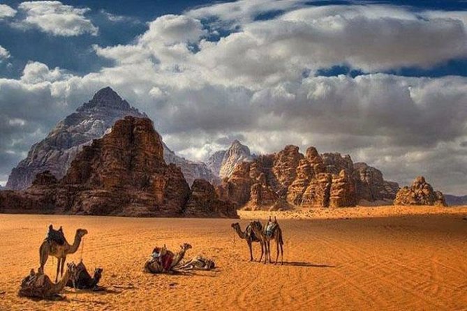 Private Full-Day Aqaba Shore Excursion to Petra and Wadi Rum - Guest Reviews and Recommendations