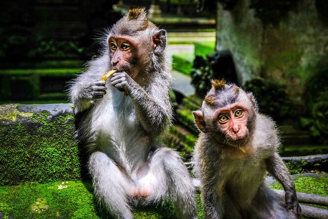 Private Full Day Bali Tour - Pickup Information