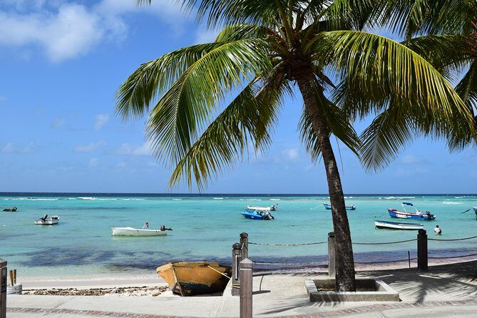 Private Full-Day Barbados Excursion - Practical Considerations