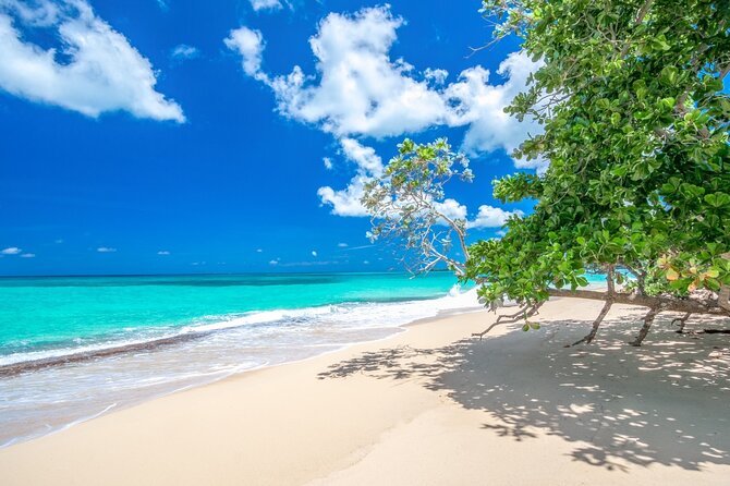 Private Full Day Beach Tour in Puerto Plata - Tour Itinerary