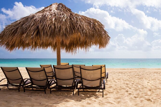 Private Full Day Beach Tour in Puerto Plata - Tour Operator and Reviews