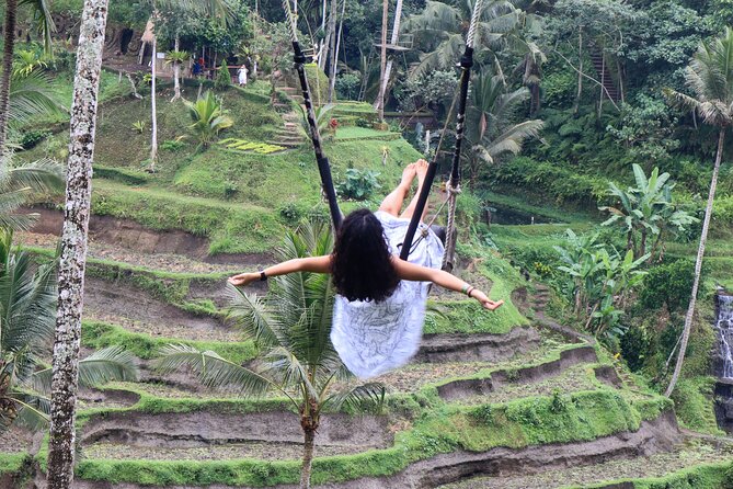 Private Full Day Best of Ubud Tour - What to Expect