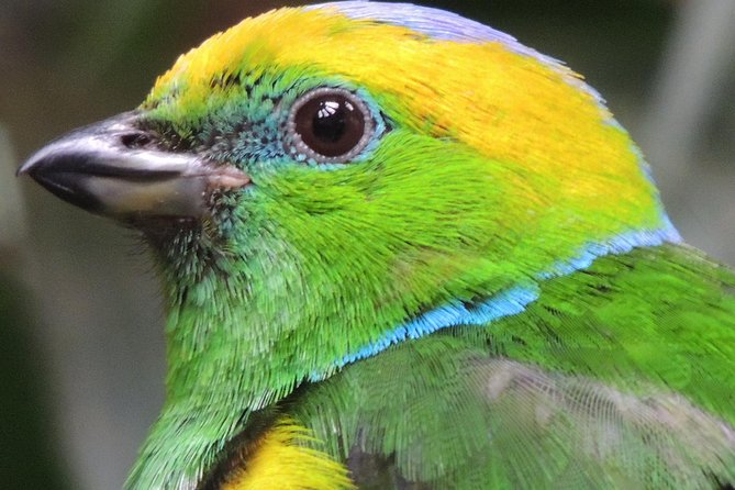 Private Full-Day Bird Watch Workshop - Overview of the Workshop