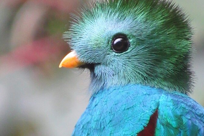 Private Full-Day Bird Watch Workshop - Inclusion Details