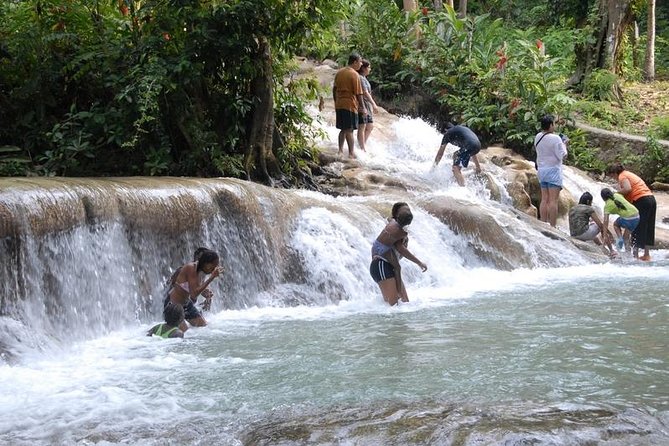 Private Full Day Blue Hole and Dunns River Shore Excursion From Falmouth - Tour Features