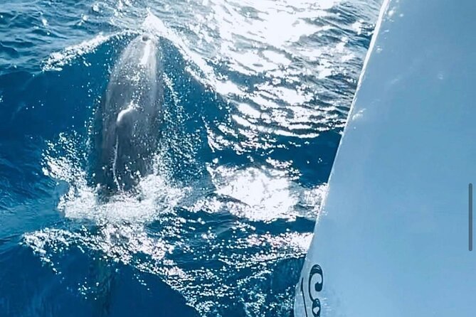 Private Full Day Boat Tour in St-Maarten - Booking and Cancellation