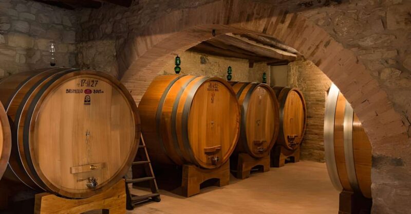 Private Full-Day Brunello Wine Tour of Montalcino - Experience Highlights