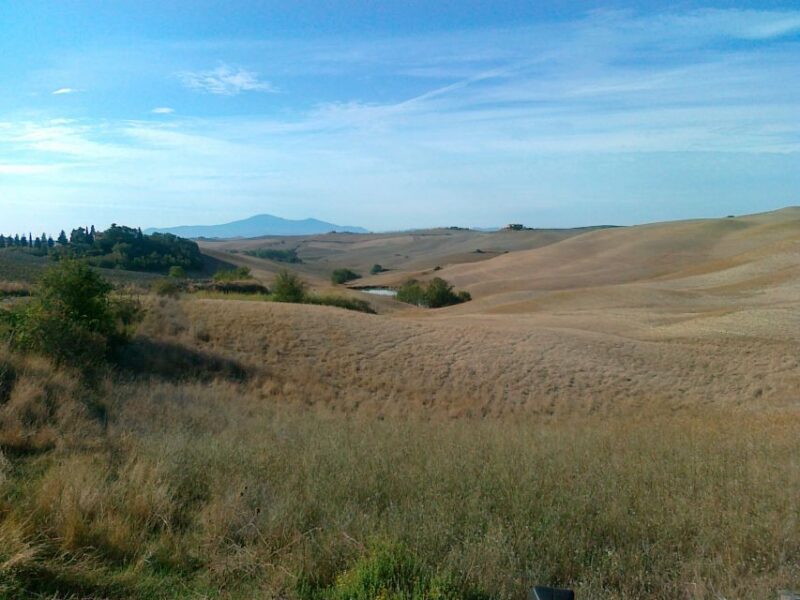 Private Full-Day Brunello Wine Tour of Montalcino - Wine and Vineyard Insights