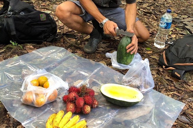 Private Full-Day Bukit Lawang Trekking Tour From Medan - Physical Fitness Requirements