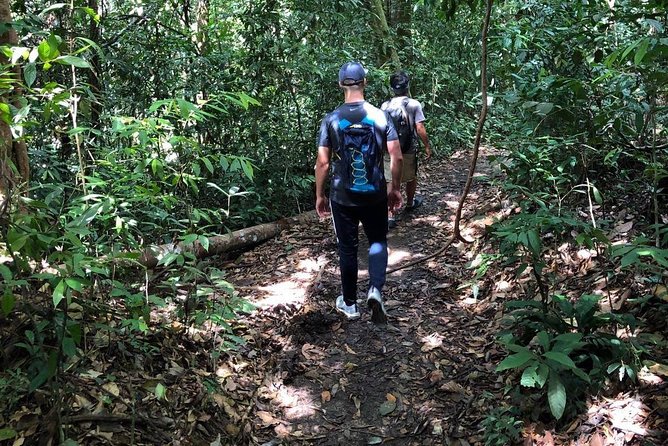 Private Full-Day Bukit Lawang Trekking Tour From Medan - Traveler Experiences and Feedback