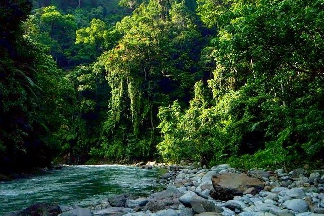 Private Full-Day Bukit Lawang Trekking Tour From Medan - Trekking and Hiking Options