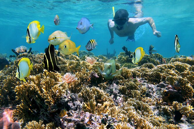 Private Full Day BVI Boat Charter Aboard MV Aquarius - Health and Safety Protocols