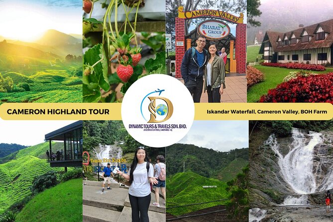 Private Full-Day Cameron Highlands Nature Tour From Kuala Lumpur - Key Points