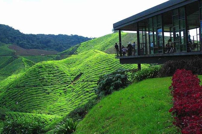 Private Full-Day Cameron Highlands Nature Tour From Kuala Lumpur - Inclusions and Exclusions