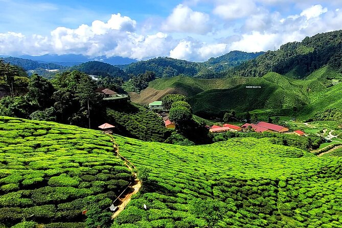 Private Full-Day Cameron Highlands Nature Tour From Kuala Lumpur - Accommodation and Transportation
