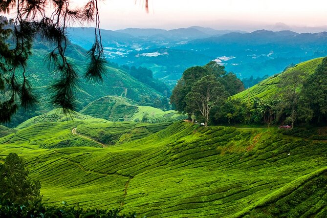 Private Full-Day Cameron Highlands Nature Tour From Kuala Lumpur - Cancellation and Refund Policy