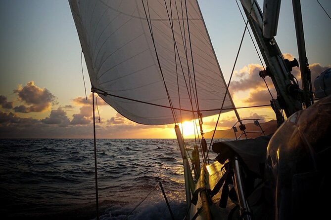 Private Full Day Catamaran Cruise From Paros With Lunch - Pricing and Booking