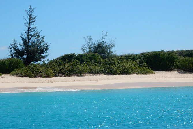 Private Full-Day Catamaran Sailing Charter in St Maarten - Who Will Love This Tour?