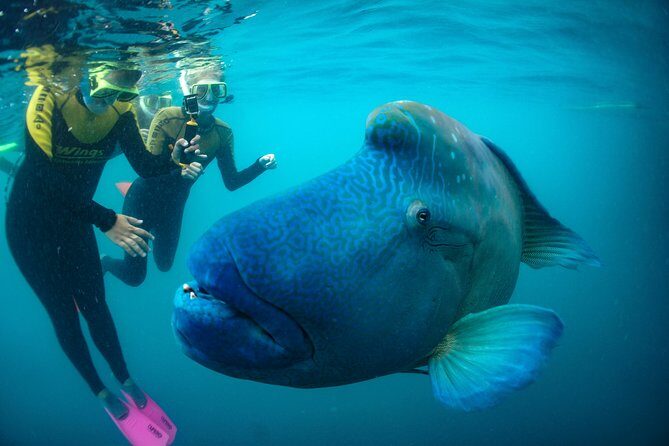 Private full day catered & crewed yacht charter- Airlie Beach - The Experience in Detail