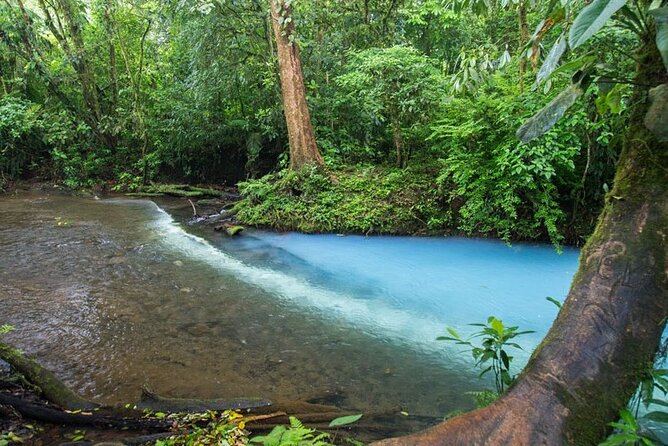 Private Full Day Celeste River Hiking Experience With Lunch - Spotting Native Wildlife