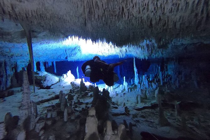 Private Full-Day Cenote Diving Experience 2 Dives With Lunch - Reviews and Pricing