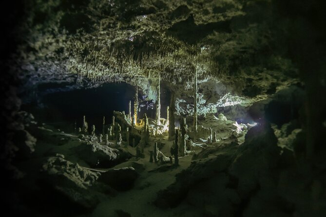 Private Full-Day Cenote Diving Experience 2 Dives With Lunch - Booking and Cancellation