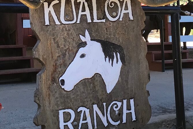 Private Full-Day Circle Island Guided Small-Group up to 6 (Se Habla Español) - Explore the North Shore