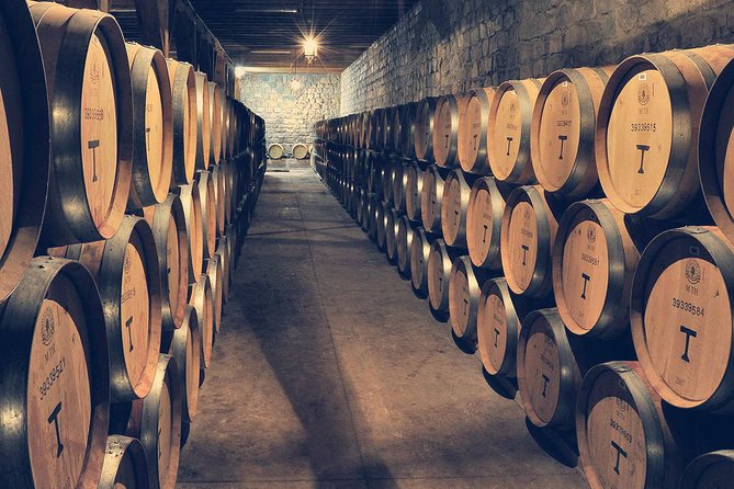Private Full Day City Tour of Santiago With Wine Experience - Santiago City Sights