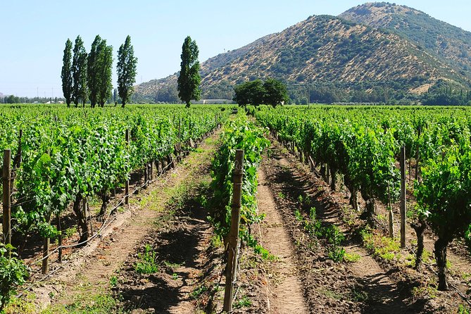 Private Full Day City Tour of Santiago With Wine Experience - Practical Information