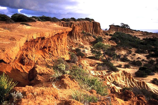 Private Full Day Coastal Tour From San Diego With Private Driver/Guide - Accessibility and Participation