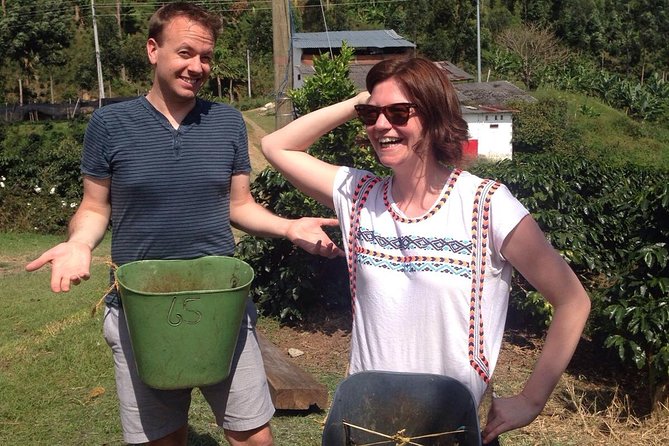 Private Full-Day Coffee Tour to Palmitas Farm Near Medellín - Key Points